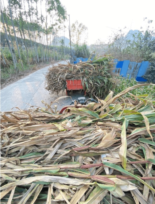 微信截圖_20250212102616.jpg 微信截圖_20250212102616.jpg