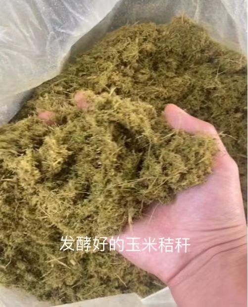 微信圖片_20250212105508.jpg 微信圖片_20250212105508.jpg