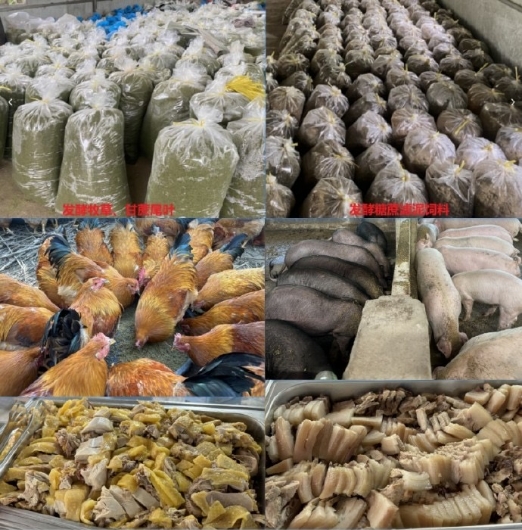 微信截圖_20250212102630.jpg 微信截圖_20250212102630.jpg