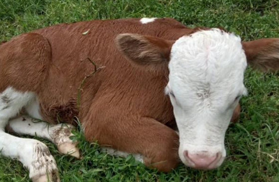 53D69C0DEED002A5F087FA7EEFFFC3C1.png 53D69C0DEED002A5F087FA7EEFFFC3C1.png