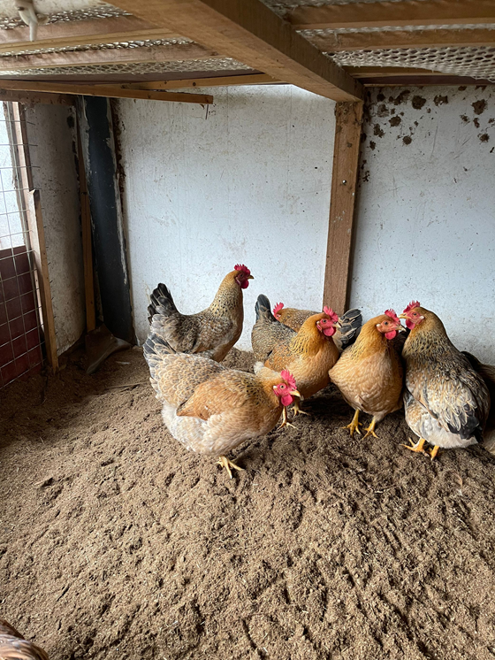 2E94884E08DE84C8C7BA5F5E7427EBD4.png 2E94884E08DE84C8C7BA5F5E7427EBD4.png