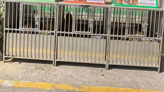 7C80472587CA8B7009ED1BAB5FD95E9B.png 7C80472587CA8B7009ED1BAB5FD95E9B.png