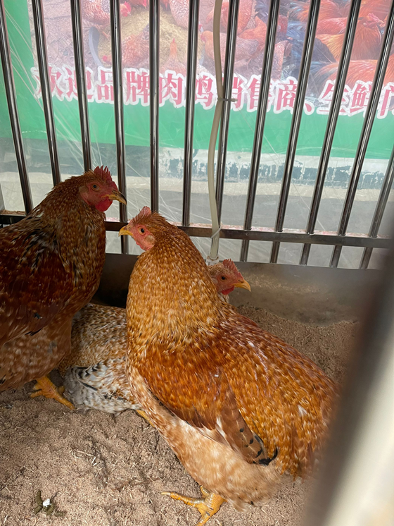 574FD0218B9AEDEE80DA4B5F7B64C2E2.png 574FD0218B9AEDEE80DA4B5F7B64C2E2.png