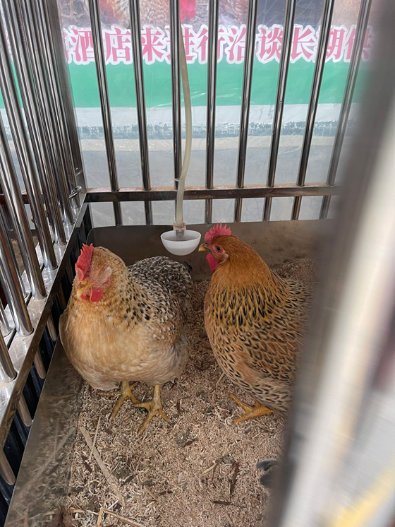 4803D201F9362FC2A72753B8985DCD49.png 4803D201F9362FC2A72753B8985DCD49.png