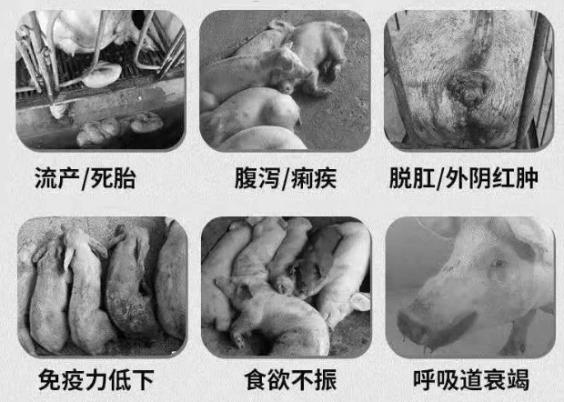 微信截圖_20250213105428.jpg 微信截圖_20250213105428.jpg