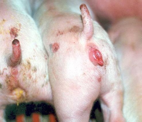 微信圖片_20250213105359.jpg 微信圖片_20250213105359.jpg