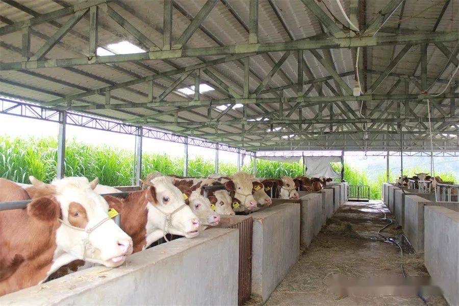 微信圖片_20250214104608.jpg 微信圖片_20250214104608.jpg