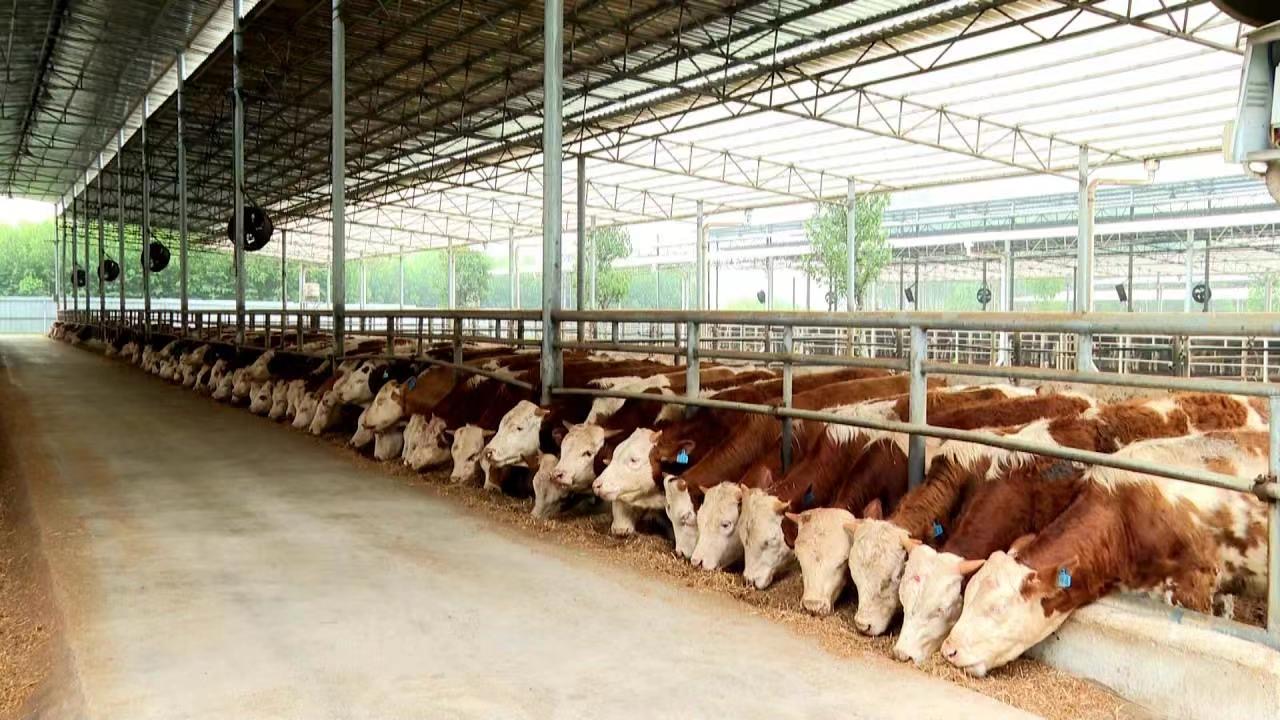 微信圖片_20250214104600.jpg 微信圖片_20250214104600.jpg