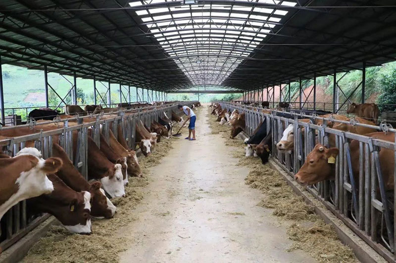 微信圖片_20250214104604.jpg 微信圖片_20250214104604.jpg