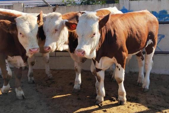 微信圖片_20250214110149.jpg 微信圖片_20250214110149.jpg