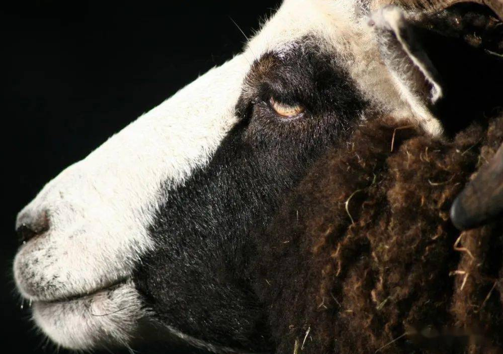 QQ圖片20250217140735.png QQ圖片20250217140735.png