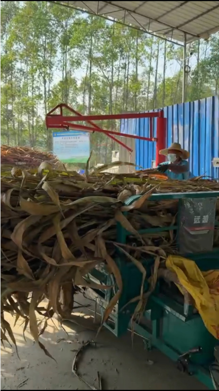 QQ圖片20250210145529.png QQ圖片20250210145529.png