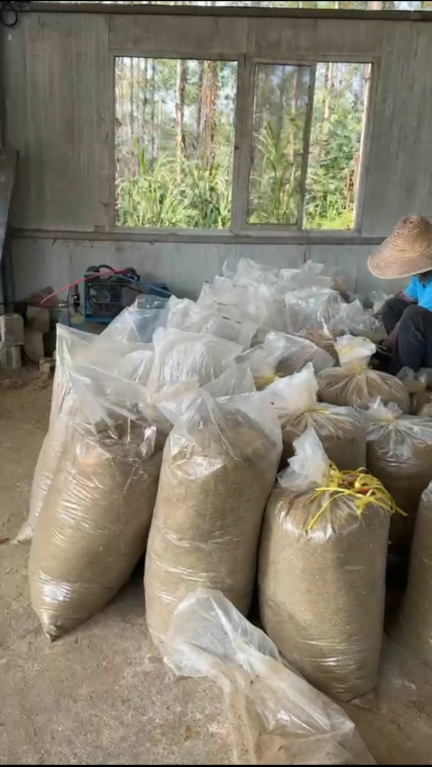 QQ圖片20250210151314.png QQ圖片20250210151314.png