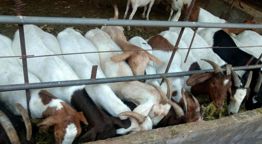 QQ圖片20250210152302.png QQ圖片20250210152302.png