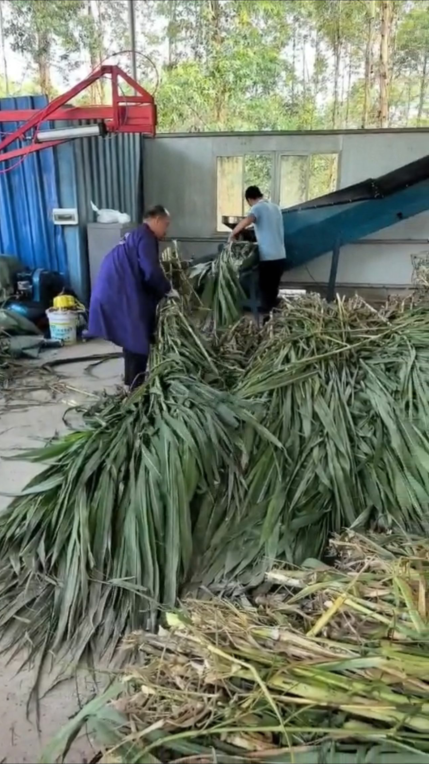 QQ圖片20250217111916.png QQ圖片20250217111916.png