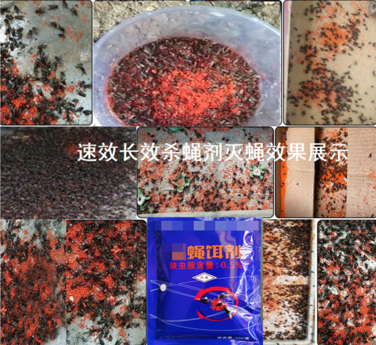 滅蒼蠅效果.jpg 滅蒼蠅效果.jpg