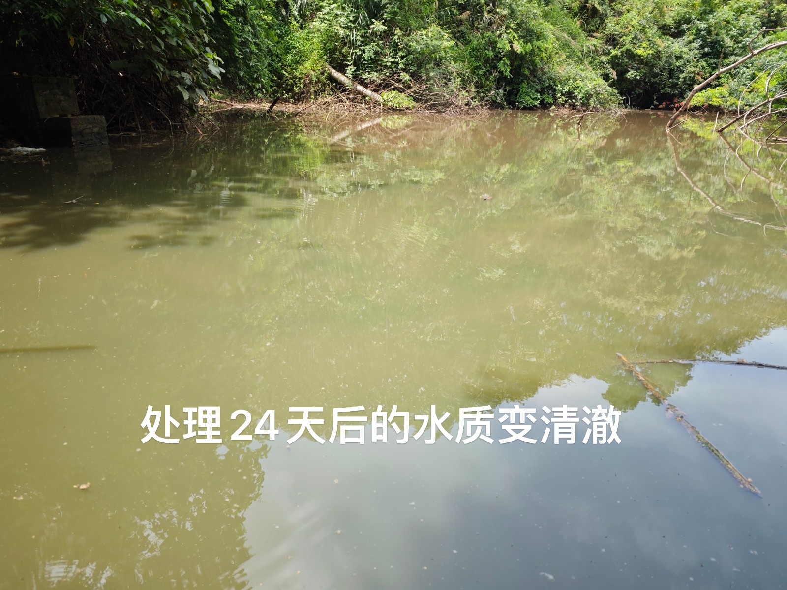 微信圖片_20250218104804.jpg 微信圖片_20250218104804.jpg