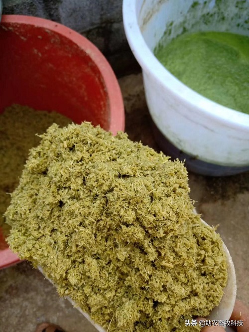 161b60000ba72ff0589c1_noop_1080x1440.jpeg 161b60000ba72ff0589c1_noop_1080x1440.jpeg