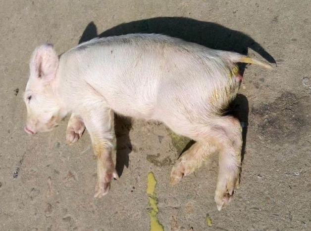 微信圖片_20250221105626.jpg 微信圖片_20250221105626.jpg