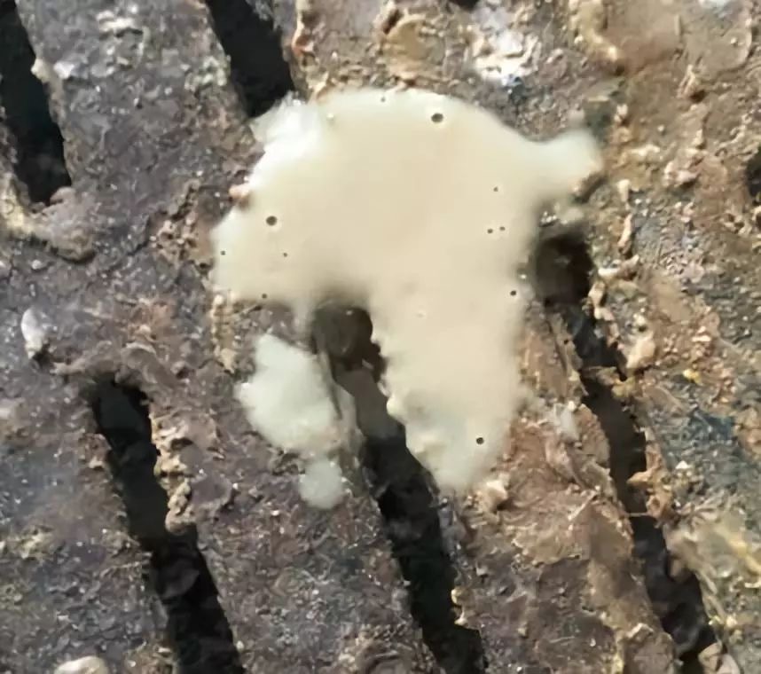 微信圖片_20250221105634.jpg 微信圖片_20250221105634.jpg