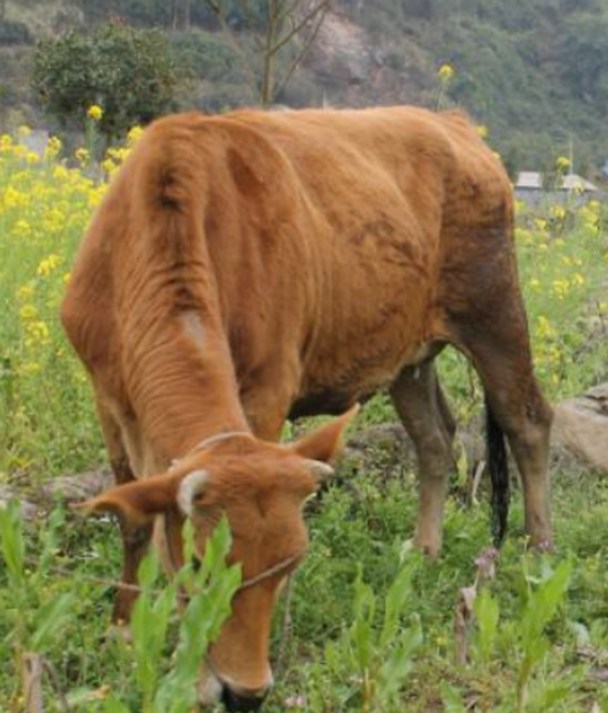 669E9D233C8C72D831F5DCE27A4BFEB3.png 669E9D233C8C72D831F5DCE27A4BFEB3.png