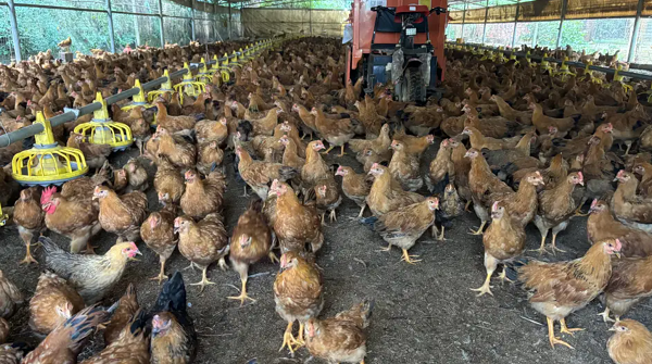 1740385288887 - 副本.png 1740385288887 - 副本.png