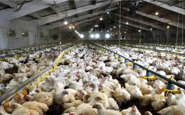 1740385387712 - 副本.png 1740385387712 - 副本.png