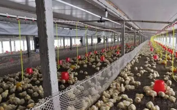 1-副本.png 1-副本.png