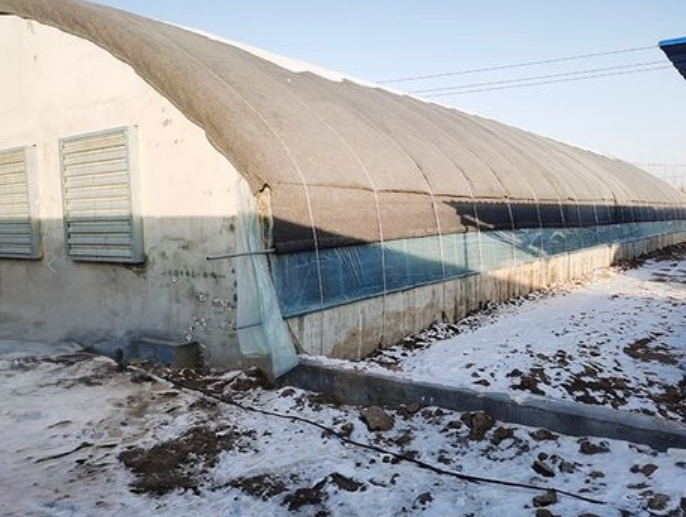 QQ圖片20250224165820.png QQ圖片20250224165820.png