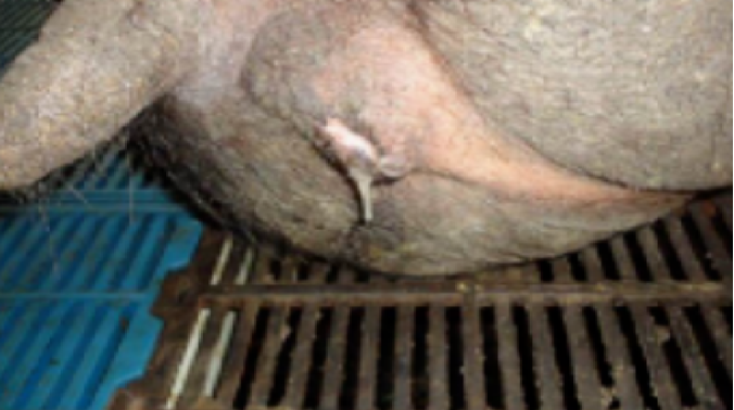 截圖20250225093917.png 截圖20250225093917.png