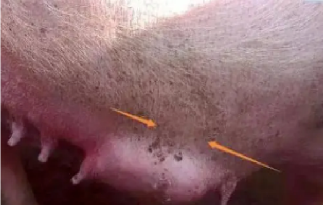 截圖20250225093935.png 截圖20250225093935.png