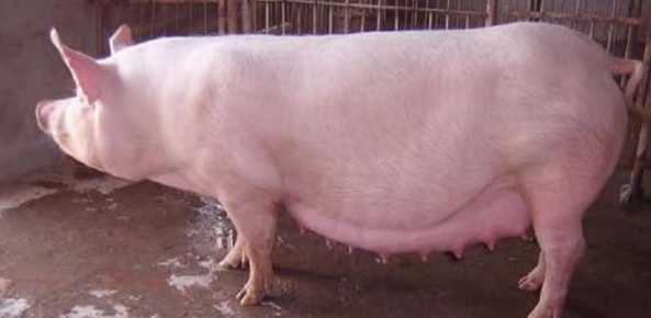 截圖20250226091115.png 截圖20250226091115.png