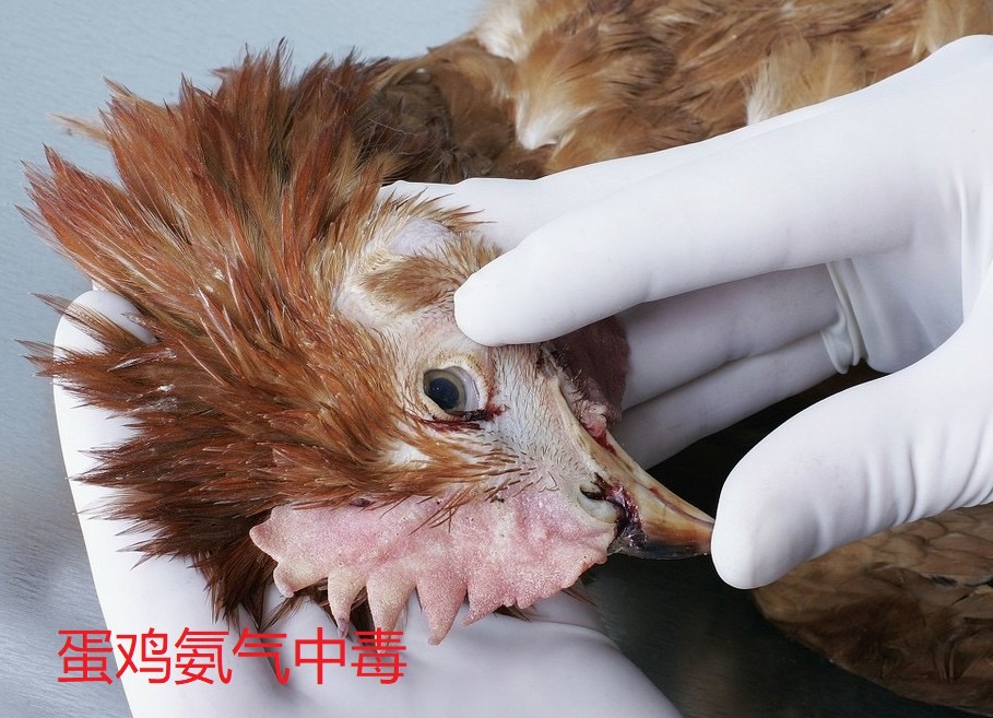 微信圖片_20250226101830.jpg 微信圖片_20250226101830.jpg