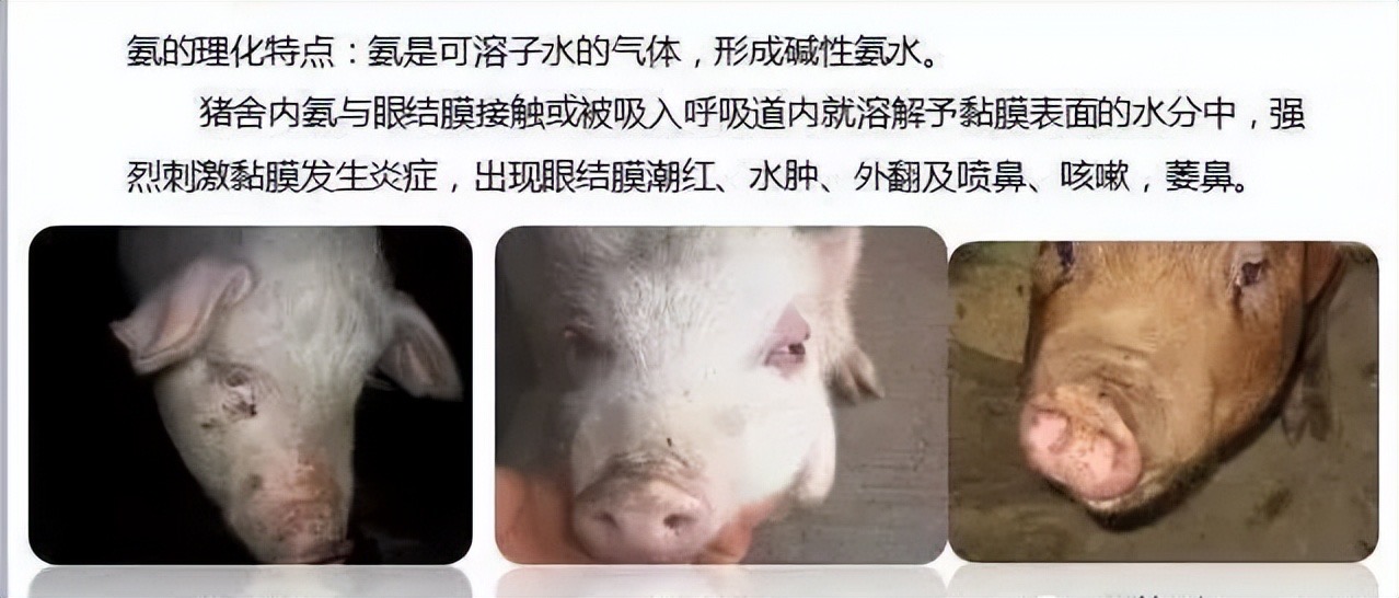 微信圖片_20250226101906.jpg 微信圖片_20250226101906.jpg