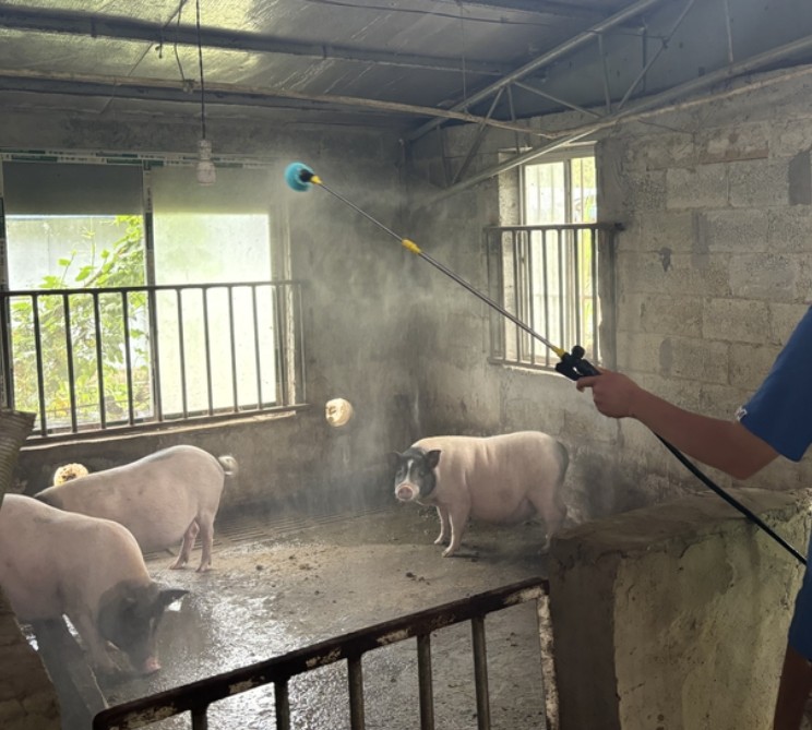 微信截圖_20250226093605.jpg 微信截圖_20250226093605.jpg