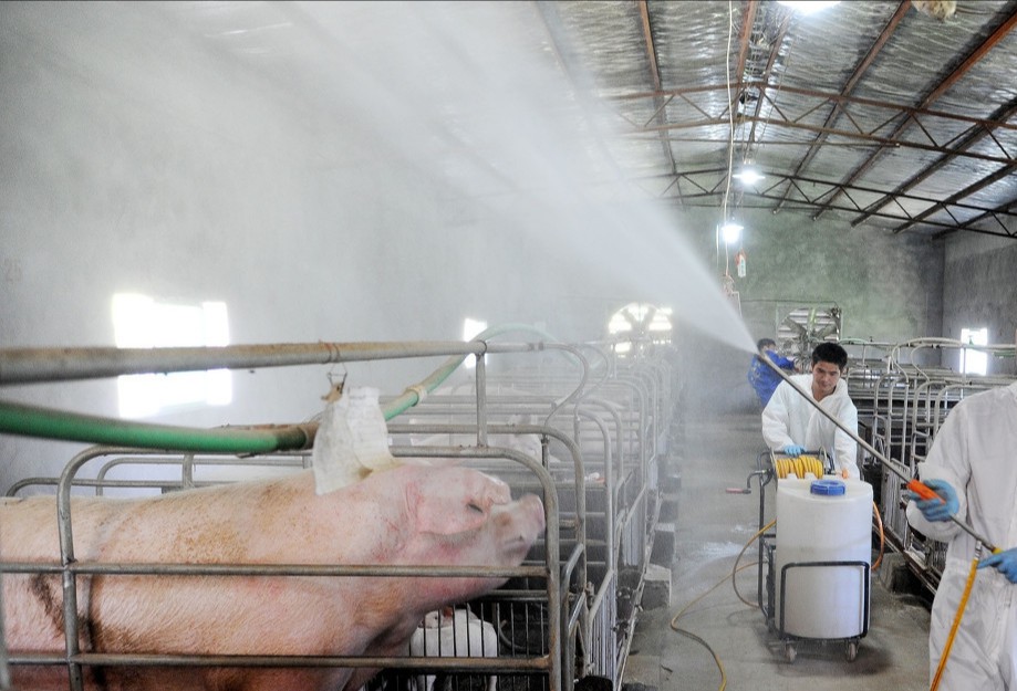 17336449215745924.jpg 17336449215745924.jpg