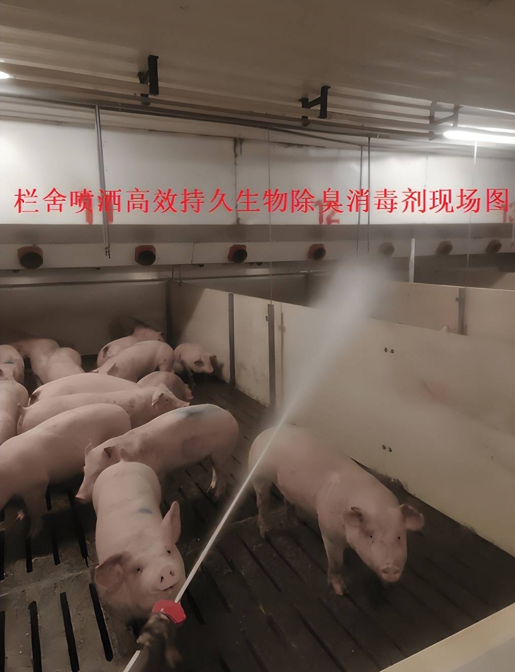 微信圖片_20250226101910.jpg 微信圖片_20250226101910.jpg