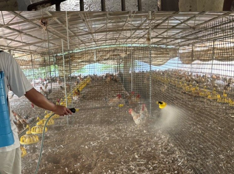 微信截圖_20250226093549.jpg 微信截圖_20250226093549.jpg