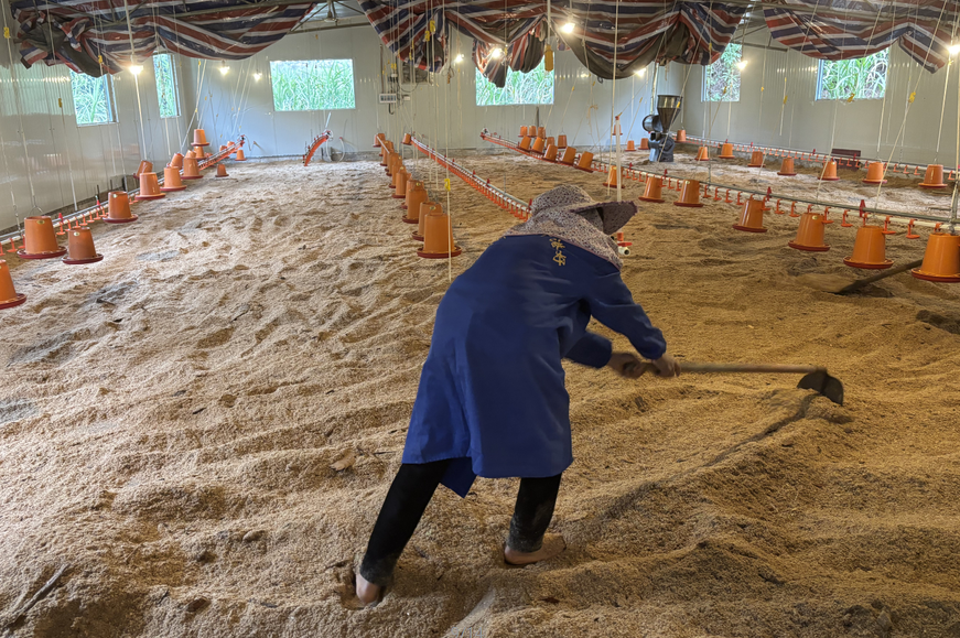 17358054103534513.png 17358054103534513.png