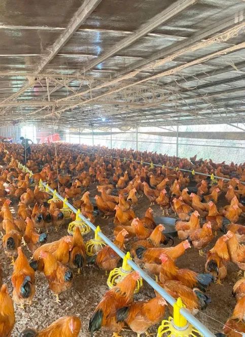 QQ圖片20250227133234.jpg QQ圖片20250227133234.jpg