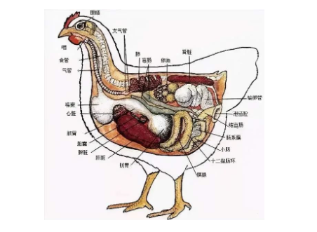 截圖20250303095324.png 截圖20250303095324.png