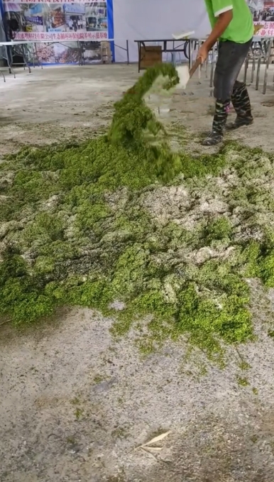 微信截圖_20250303112524.jpg 微信截圖_20250303112524.jpg