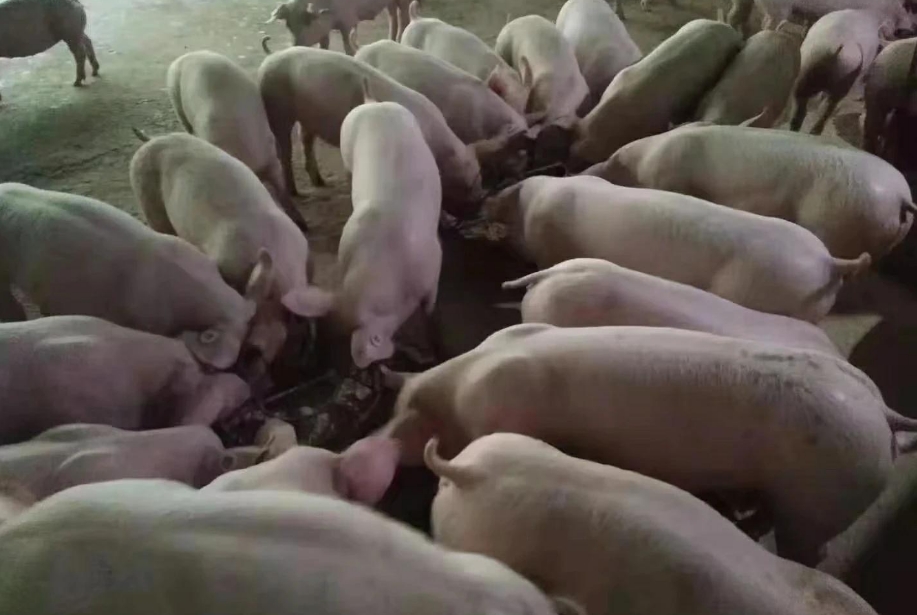 微信截圖_20250303112553.jpg 微信截圖_20250303112553.jpg