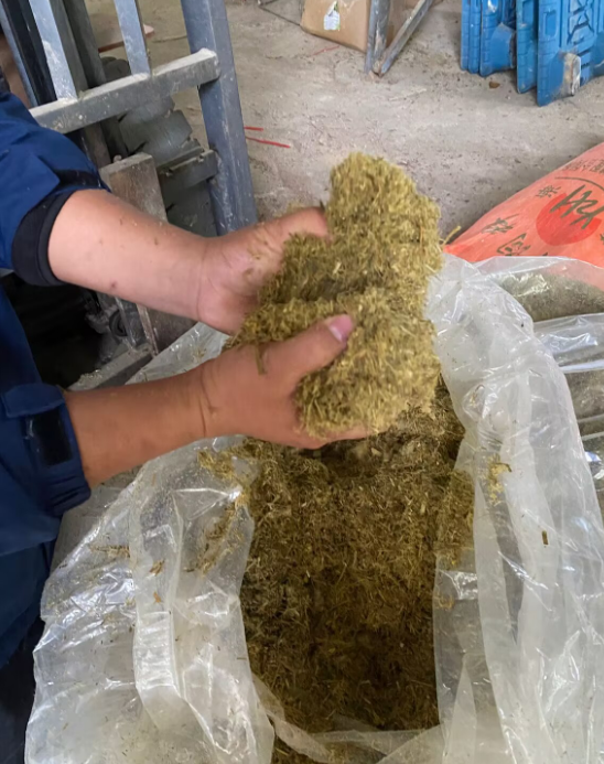 17374415991684003.png 17374415991684003.png