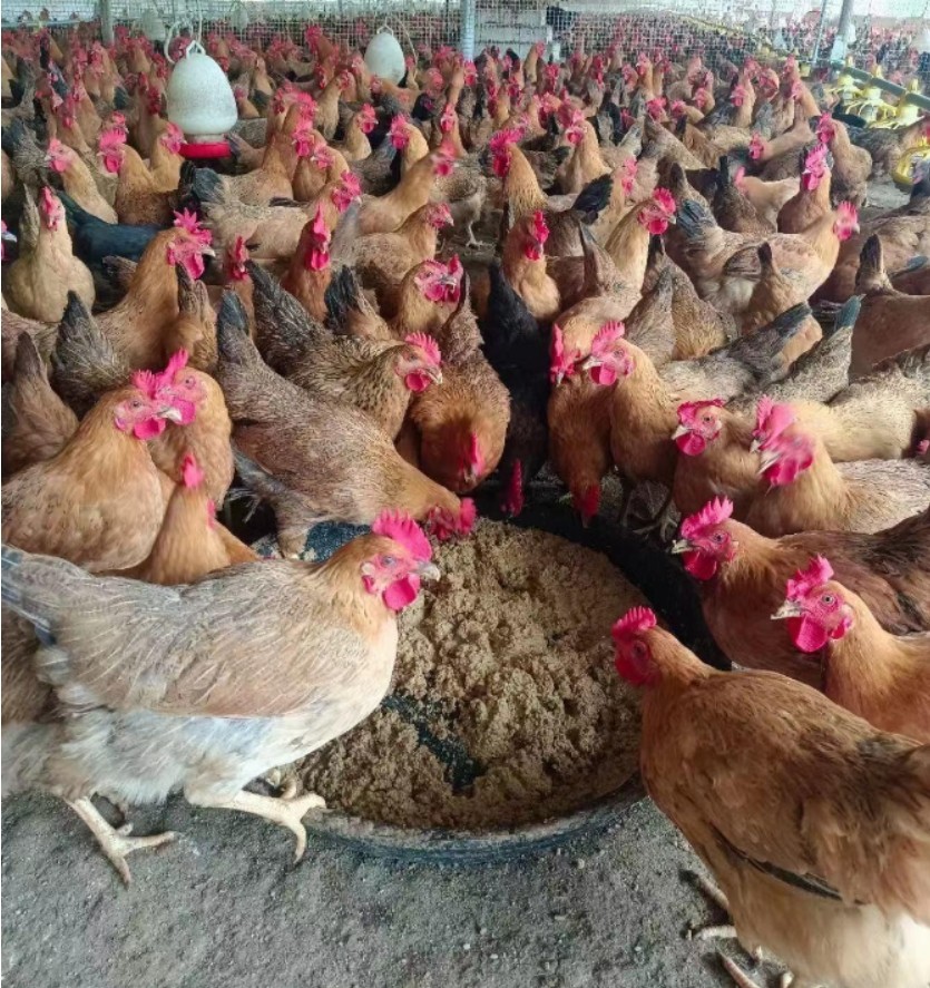 微信截圖_20250304102457.jpg 微信截圖_20250304102457.jpg