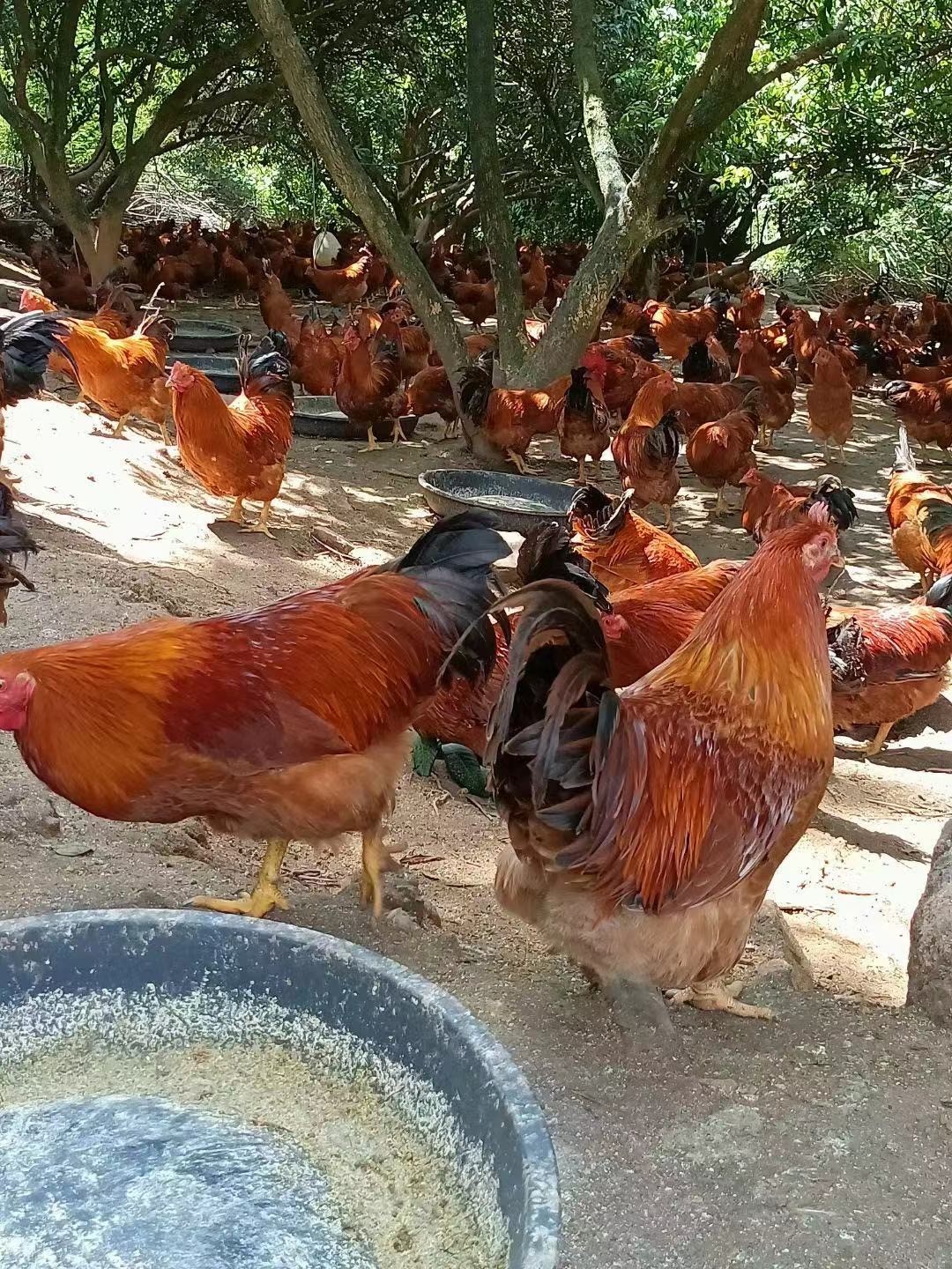 微信圖片_20250304112748.jpg 微信圖片_20250304112748.jpg