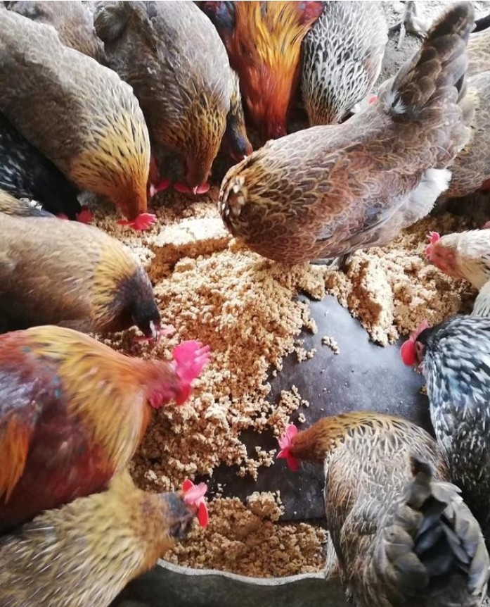 微信截圖_20250304102030.jpg 微信截圖_20250304102030.jpg