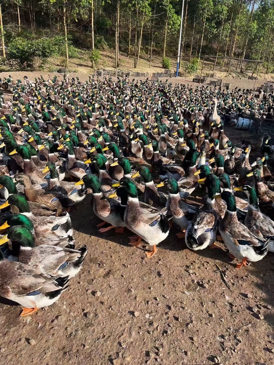 微信圖片_20250304112745.jpg 微信圖片_20250304112745.jpg