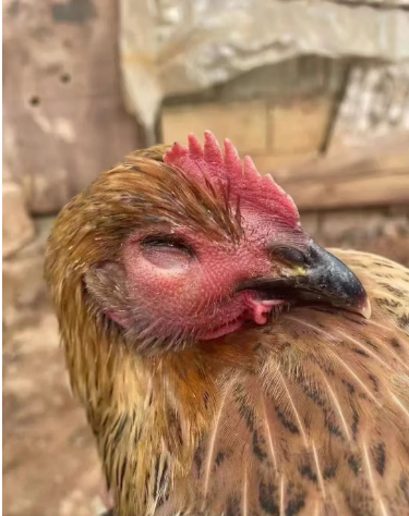 1741137831230.jpg 1741137831230.jpg