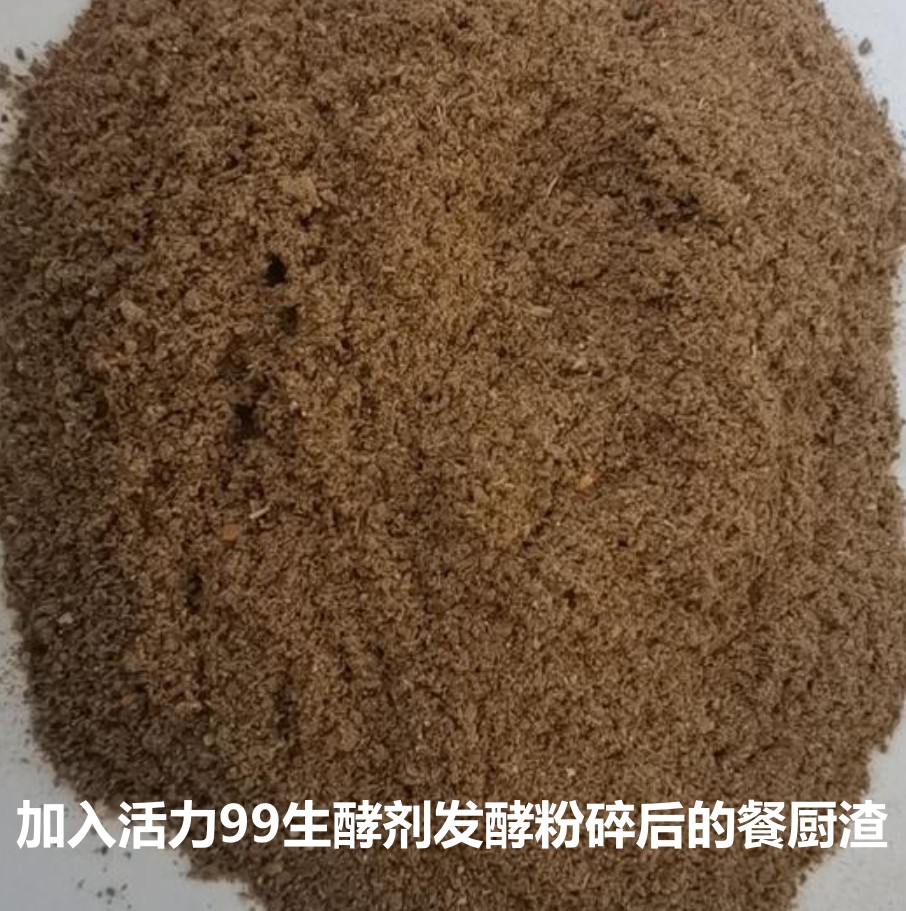加入活力99生酵劑發酵粉碎后的餐廚渣.jpg